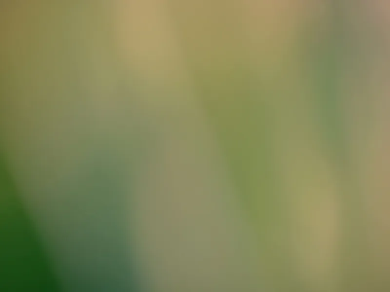 Why Choose Image
